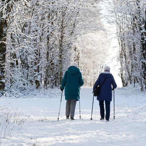 Due donne che camminano attraverso un bosco innevato