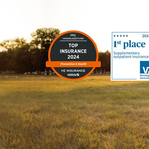  A father plays with his son in a sunny field, next to him are awards for top insurance and 1st place for outpatient insurance supplements.