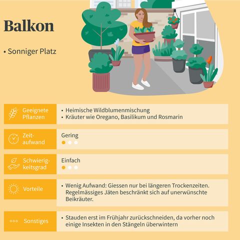 Illustration eines Balkons mit Pflanzen und einer Person, die einen Blumentopf hält. Text erklärt geeignete Pflanzen und Pflegehinweise für sonnige Balkone.