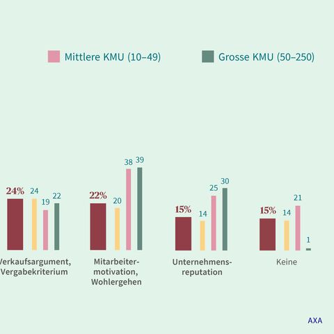 Ein Balkendiagramm zeigt Gründe für Nachhaltigkeit in kleinen, mittleren und grossen KMUs, darunter Ressourcenschonung und Unternehmensreputation.