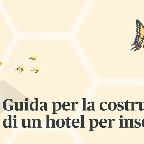 Illustrazione di un hotel per insetti con vari materiali di riempimento, accanto al testo “Istruzioni per la costruzione di un hotel per insetti” e insetti volanti.