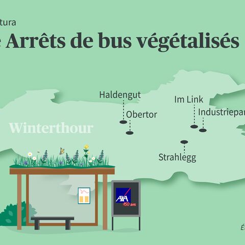 Carte schématique des arrêts verts végétalisés. En bas à gauche se trouve l’arrêt et, derrière, un plan de Winterthour.
