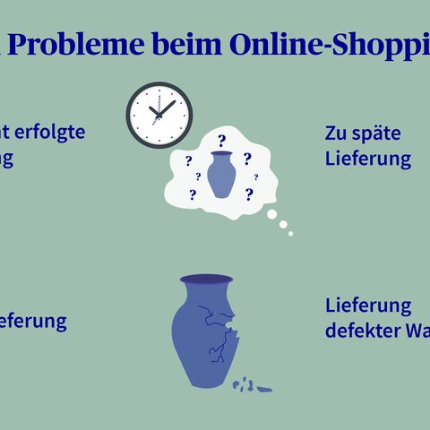 Eine Grafik zeigt die vier häufigsten Probleme beim Online-Shopping: keine Lieferung, verspätete Lieferung, Falschlieferung und defekte Ware.