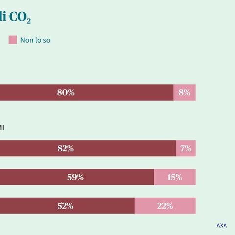 Il diagramma a barre mostra che il 12% degli intervistati conosce le emissioni di CO₂, l’80% non è sicuro e l’8% non è sicuro, suddivisi per dimensioni dell’azienda.