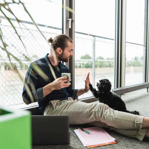 A young man sits on the floor in his living room. He gives his little black dog a high-five on his paw.