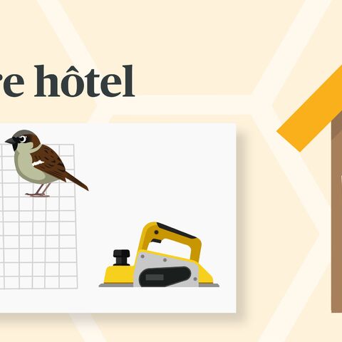 L'étape 5 montre la mise en place d'un grillage de protection sur un hôtel à insectes pour le protéger des oiseaux, illustrée avec un filet, un oiseau et une agrafeuse.