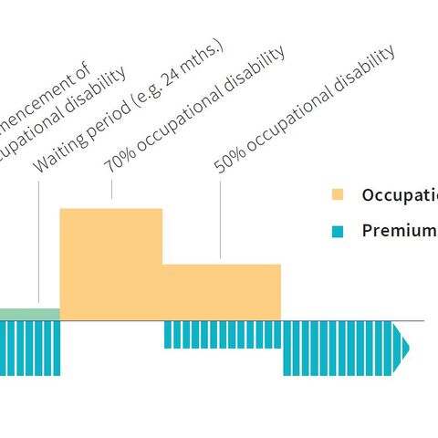 A bar chart shows the disability pension (yellow) and the annual premium payment (blue) at various levels of earning capacity.