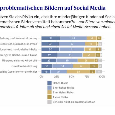 verschiedene Risiken von Bildern auf Social Media auf Skala von hoch bis nicht problematisch bewertet und in einem Balkendiagramm dargestellt