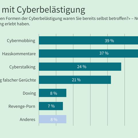 Ein Balkendiagramm zeigt erlebte Formen von Cyberbelästigung.