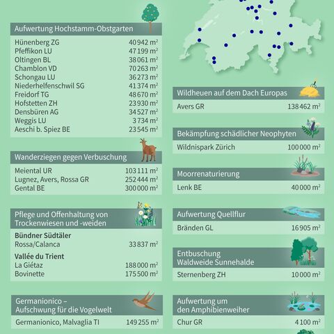 Infografik zeigt verschiedene Aufwertungsprojekte von Flora Futura in der Schweiz mit Kartenmarkierungen und erklärenden Symbolen zu den Projekten.