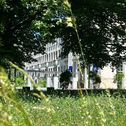 A modern building with a grey facade and many windows, surrounded by green trees and tall grass in the foreground.