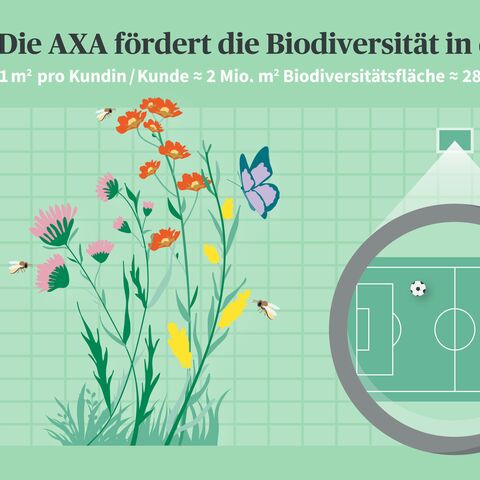 Illustration zeigt Blumen und Insekten neben einer Lupe, die ein Fussballfeld vergrössert. Text erklärt AXA's Beitrag zur Biodiversität in der Schweiz.
