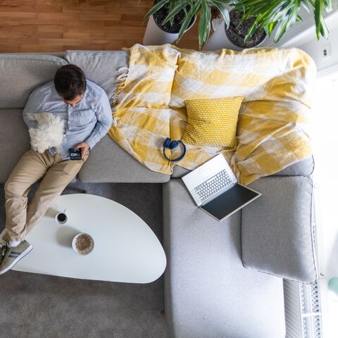 Un homme est à la maison, assis sur le canapé avec son chien et surfe sur Internet sur son smartphone.
