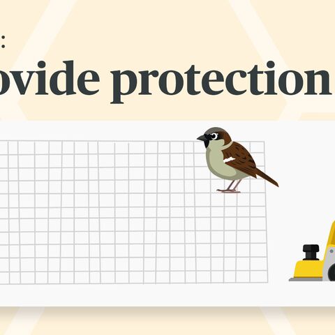 Step 5 shows how to attach a protective grid to an insect hotel to protect it from birds, shown with net, bird and stapler.