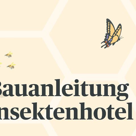 Illustration eines Insektenhotels mit verschiedenen Füllmaterialien, daneben der Text "Bauanleitung Insektenhotel" und fliegende Insekten.