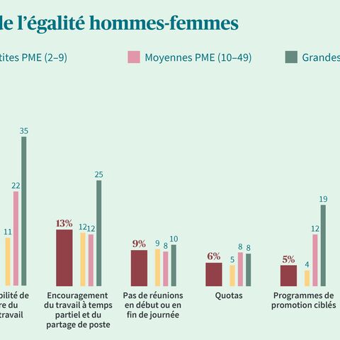 Un diagramme en bâtons montre les mesures visant à promouvoir l’égalité des sexes dans des entreprises de différentes tailles, telles que les horaires de travail flexibles et les programmes de promotion du genre.