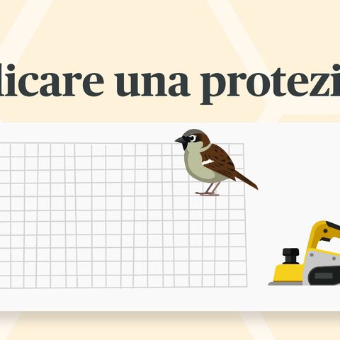 Il passo 5 mostra come fissare una griglia protettiva a un hotel per insetti per proteggerlo dagli uccelli, con rete, uccello e spillatrice.