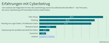 Ein Balkendiagramm zeigt erlebte Formen von Cyberbetrug.