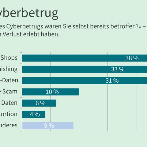 Ein Balkendiagramm zeigt erlebte Formen von Cyberbetrug.