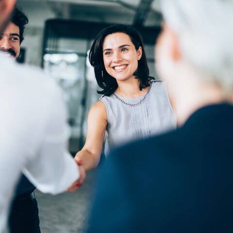 Conseil en organisation GSE