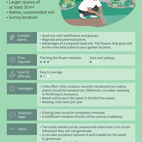 Illustration of a gardener planting flowers in front of a house, with text: tips on suitable plants, time spent, level of difficulty, advantages and disadvantages.