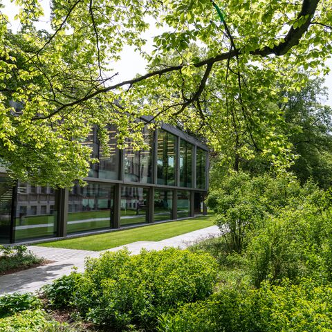 Ein moderner Glasbau und ein klassisches Gebäude sind durch einen grünen Garten mit üppigen Bäumen und Büschen verbunden.
