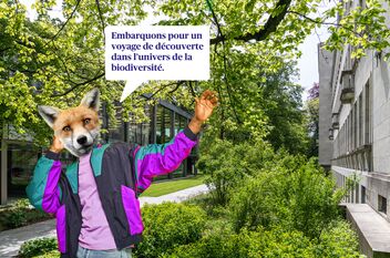 Le renard à la veste colorée invite, via une bulle, à un voyage de découverte de la biodiversité.