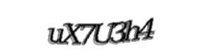 Security check image, please type the characters shown