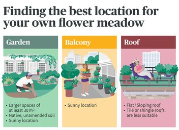 Finding the best location for your flower meadow at home