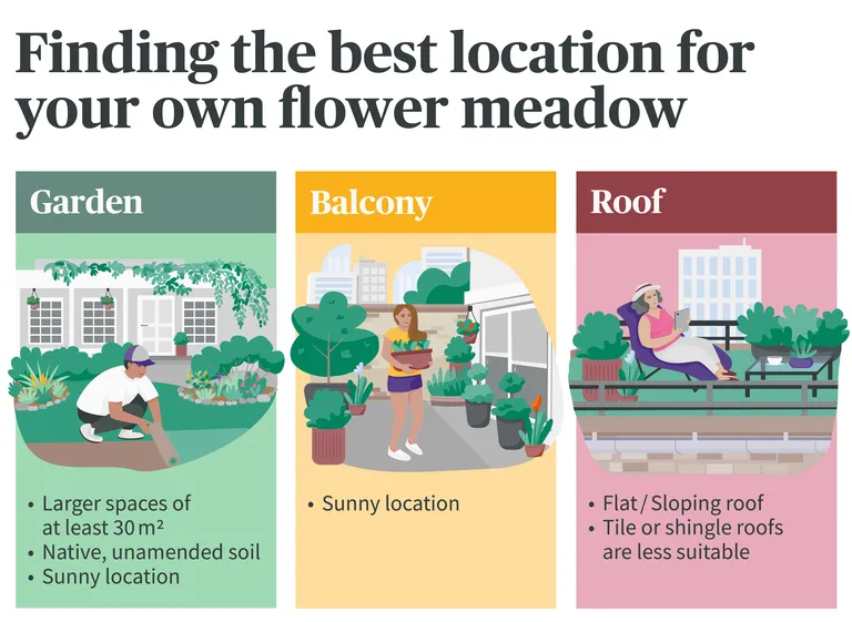 Finding the best location for your flower meadow at home