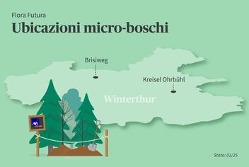 Una mappa dell'ubicazione delle microforeste di Winterthur. La microforesta si trova in basso a sinistra.