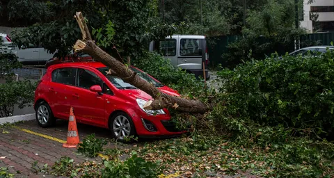 Expert tips for storms and floods