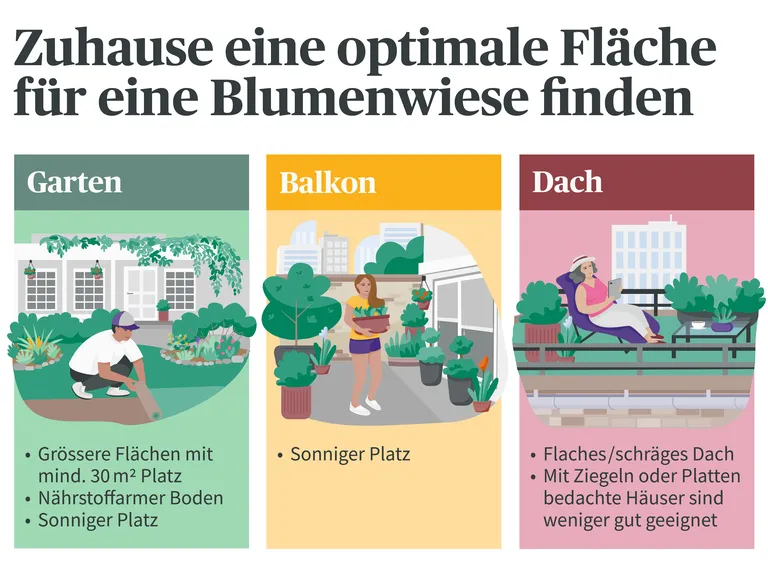 Illustration zur Auswahl optimaler Flächen für eine Blumenwiese: Garten, Balkon oder Dach, jeweils mit spezifischen Anforderungen und Tipps.