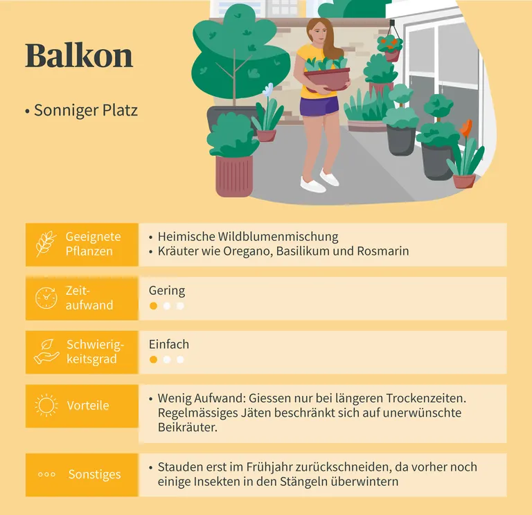 Illustration eines Balkons mit Pflanzen und einer Person, die einen Blumentopf hält. Text erklärt geeignete Pflanzen und Pflegehinweise für sonnige Balkone.