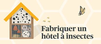 Instructions de fabrication d’un hôtel à insectes