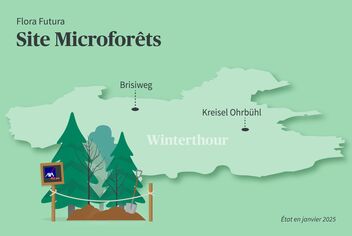 Une carte des sites des micro-forêts à Winterthur. En bas à gauche se trouve la micro-forêt.
