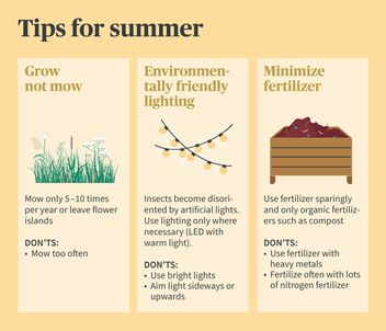 Species diversity – tips for summer