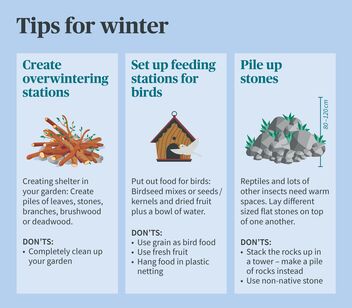 Species diversity – tips for winter