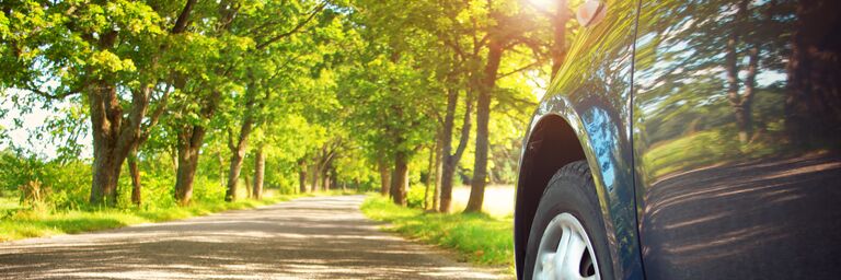 Une voiture bleue roule sur une route de campagne ombragée et bordée d'arbres, par une journée ensoleillée.