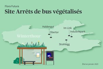 Carte schématique des arrêts verts végétalisés. En bas à gauche se trouve l’arrêt et, derrière, un plan de Winterthour.