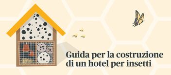 Guida per la costruzione di un hotel per insetti
