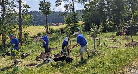 Un groupe de quatre personnes vêtues de T-shirts bleus plante des arbres sur une pelouse verte avec des brouettes et des pelles.