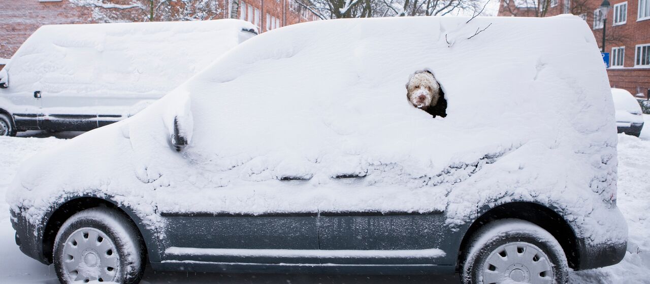 Von innen eingefrorene Auto-Scheibe im Winter – das hilft