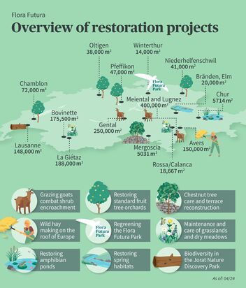 Flora Futura - Overview of restoration projects