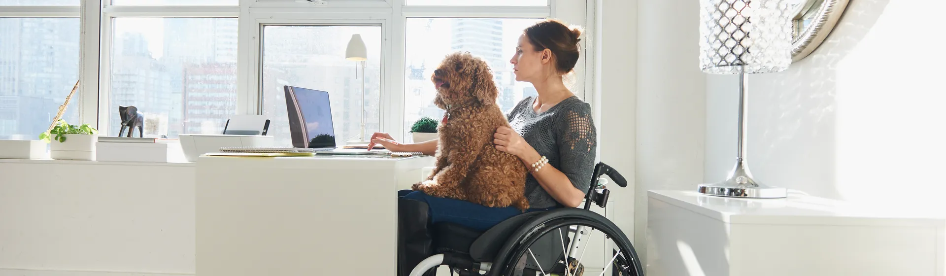 Eine Frau im Rollstuhl arbeitet an einem Laptop in einem hellen, modernen Raum, während ein kleiner brauner Hund auf ihrem Schoss sitzt.
