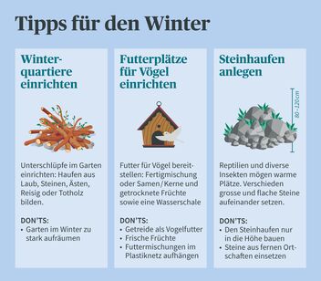 Artenvielfalt- Tipps für den Winter