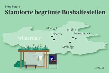 Grafik der begrünten Haltestellen Stanorte. Unten links steht die  Haltestelle und dahinter eine Karte von Winterthur.