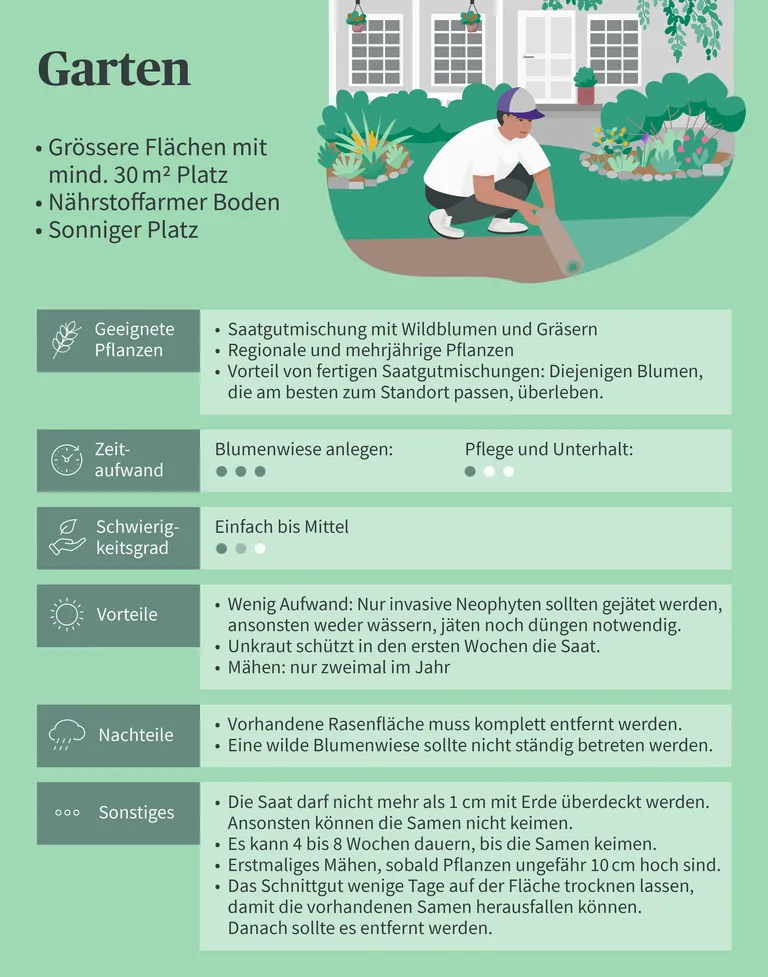 Illustration eines Gärtners, der vor einem Haus Blumen pflanzt, mit Text: Tipps zu geeigneten Pflanzen, Zeitaufwand, Schwierigkeitsgrad, Vorteile und Nachteile.