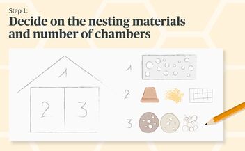 Decide on the nesting materials and number of chambers
