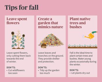Species diversity – tips for fall